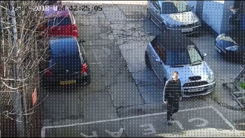 "Camera Moving, Scene Movement"
